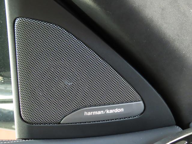 X6 M コンペティション 認定中古車(全国保証)Individual白革 パノラマSR21/22AW ジェスチャーCtrlリヤエンターテイメントシステム MカーボンRスポイラー DTV アルカンタラルーフライニング(32枚目)