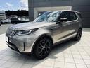 Ｓ　Ｄ３００　ディーゼルターボ　４ＷＤ　７人乗り　エアサス　シ－トヒ－タ－　電動ゲ－ト（38枚目）