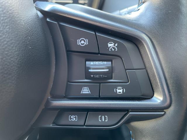 レヴォーグ GT-H EX ワンオーナー エアロパッケージ フローティングルーフスポイラー ドライブレコーダー ETC2.0 ナビ フロント/サイド/バックカメラ ブラインドスポットモニター パワーバックドア 18インチAW(34枚目)