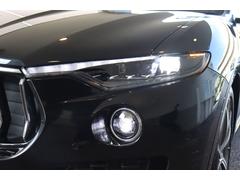  ǣԥϥ֥åɡ󥪡ʡե롡ץߥ쥶ʥåˡإåɥ쥹 0570733A30251019W001 3