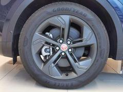 ڣסϤ룱ۥ­¸ߴȯƤޤ 2