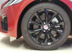 ڣ֥åۥϣвʣߡۥ֥å줿ۥϥܥǥ顼˥ޥåݡƥФޤ 5