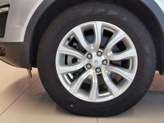 Ϥ룱ۥ­¸ߴȯƤޤ 6