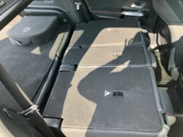 EQB EQB250プラス AMGラインパッケージ(11枚目)