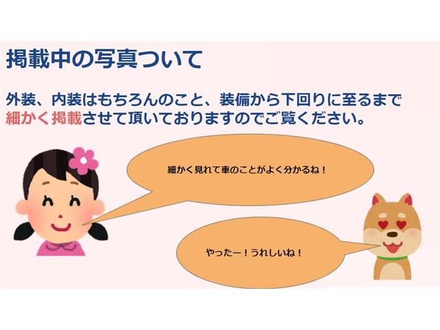 　福祉車両　スローパー　後退防止ベルト　電動固定装置　リヤシート付　禁煙車(10枚目)