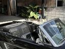 大人気、希少なコンバーチブル☆オイル漏れは一切ありません!!60年前の車でオイル漏れが一切ない個体、ここまでお金の掛かったコンバーチブルはなかなか市場には出回りません!現存数も少ないと思われます!!