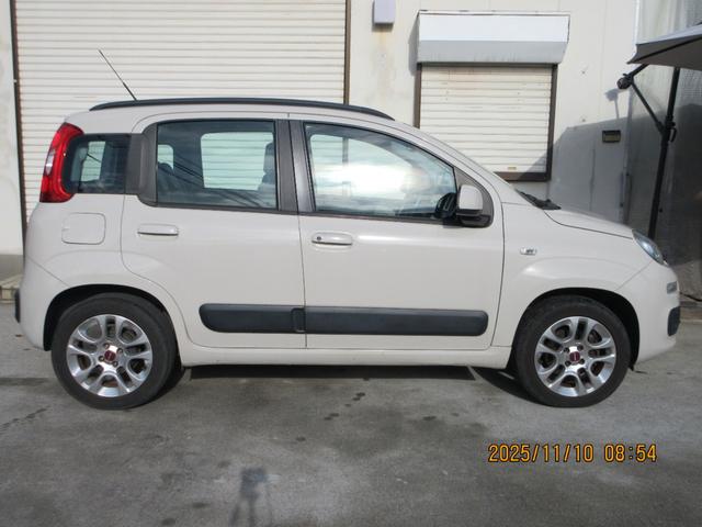 パンダ （5枚目）