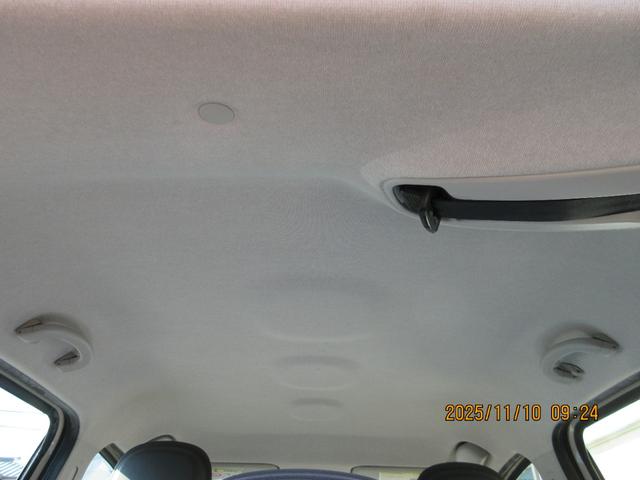 パンダ （10枚目）