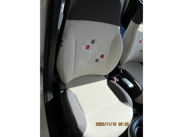 パンダ （13枚目）