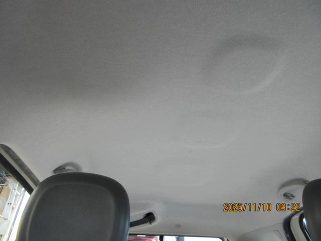 パンダ （19枚目）