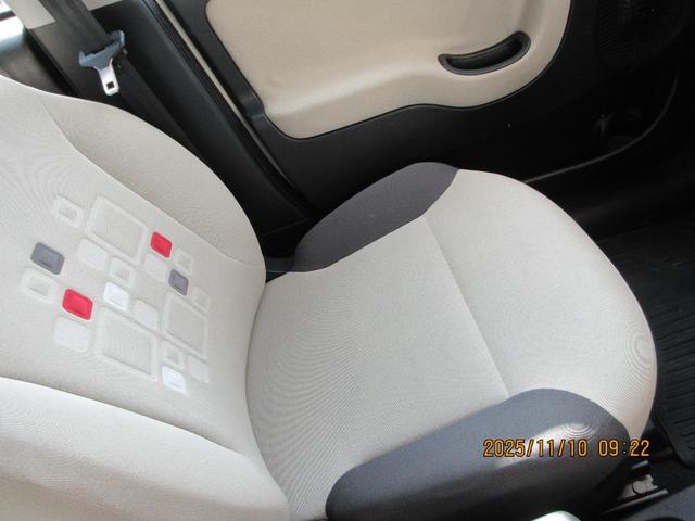 パンダ （20枚目）