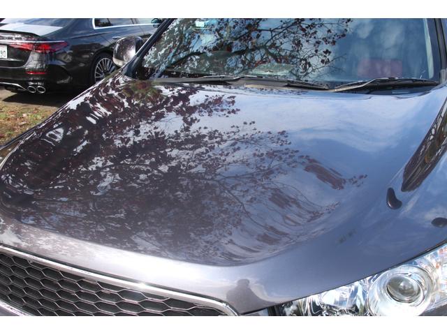 シボレーキャプティバ アクティブライフ エディション 30台限定車/フリップダウンモニター/ドラレコ/ナビ/フルTV/バックモニター/ツートンハーフレザー/モール塗装/ペイントグリル/キーレス/パワーシート/3列シート/電動パーキング/Bluetooth(49枚目)