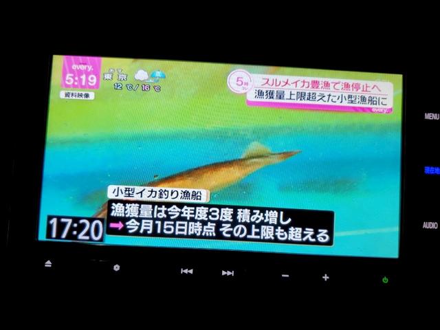 N-VAN L・ホンダセンシング キーレス 電格ミラー CD DVD再生 TV ナビ ETC バックカメラ(39枚目)