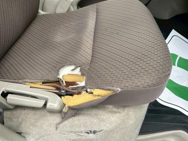 お車の知識がなくても大丈夫です!皆様のご来店をスタッフ一同、心よりお待ちしております。