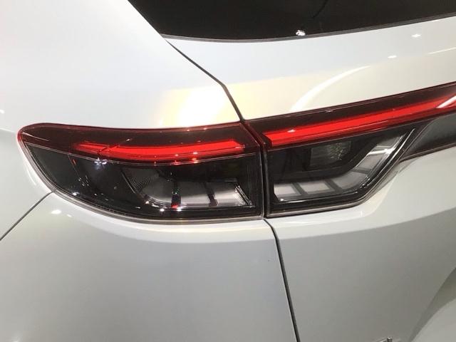 ヴェゼル ｅ：ＨＥＶＺ　Ｈ　ＳＥＮＳＩＮＧ　最長５年保証　ワンオ－ナ－　純正ナビ　ＴＶ　Ｒカメラ　マルチビュ－　ＢＴオ－ディオ　ＥＴＣ　ＬＥＤライト　ＶＳＡ　シ－トヒ－タ－　クルコン　アルミ　スマ－トキ－　盗難防止装置（45枚目）