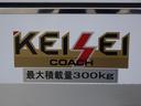 ISUZU ELF TRUCK
