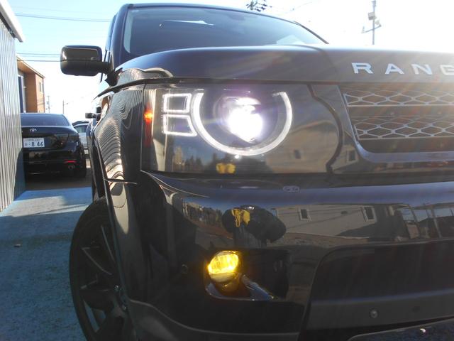 �k�d�c�w�b�h���C�g�@�C�G���[�t�H�O�k�d�c