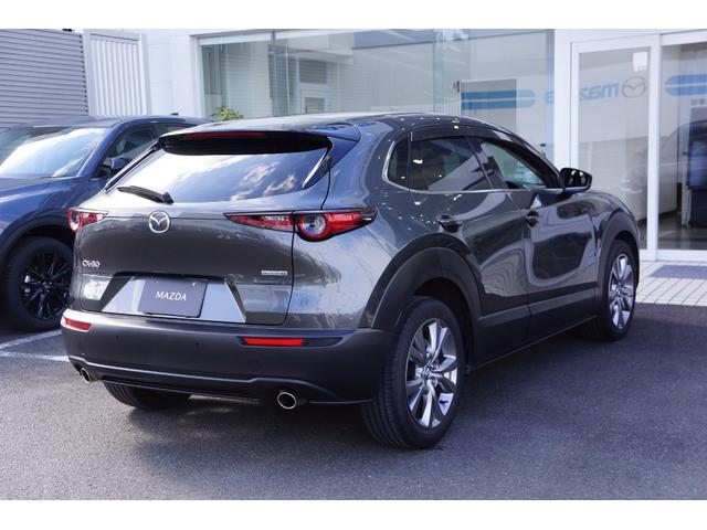 ＣＸ－３０ ２０Ｓ　プロアクティブ（6枚目）