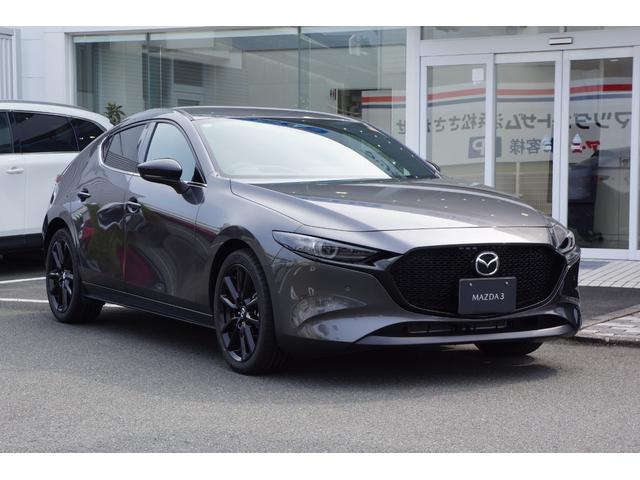 ＭＡＺＤＡ３ファストバック ２０Ｓ　レトロスポーツエディション　弊社デモカー　ボディコーティング施工済車　オンラインナビＳＤ　ＥＴＣ　オールウェザーマット（3枚目）