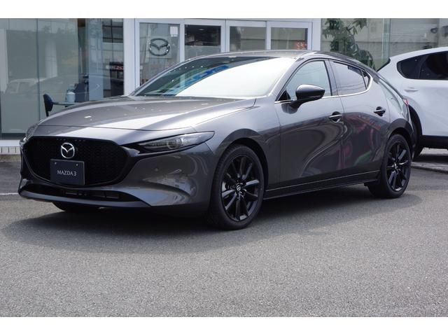 ＭＡＺＤＡ３ファストバック ２０Ｓ　レトロスポーツエディション　弊社デモカー　ボディコーティング施工済車　オンラインナビＳＤ　ＥＴＣ　オールウェザーマット（35枚目）
