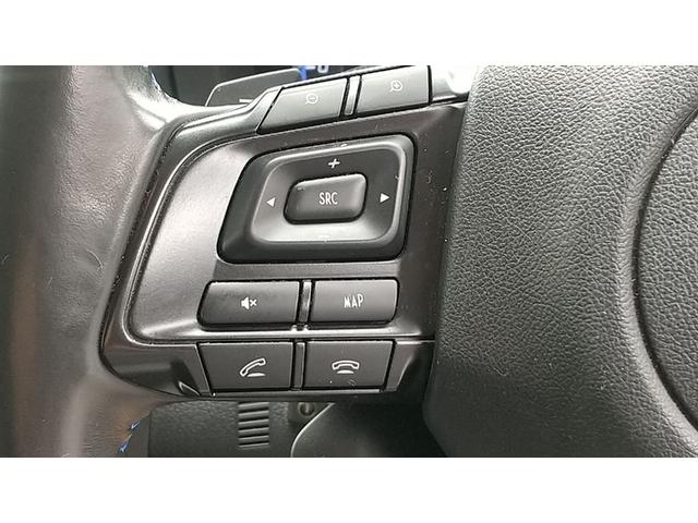 レヴォーグ １．６ＧＴ－Ｓアイサイト　アドバンスドセーフティパッケージ　新車ワンオーナー純正ナビ　バックカメラ　ＥＴＣ　ドライブレコーダー（30枚目）