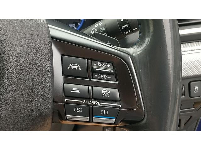 レヴォーグ １．６ＧＴ－Ｓアイサイト　アドバンスドセーフティパッケージ　新車ワンオーナー純正ナビ　バックカメラ　ＥＴＣ　ドライブレコーダー（32枚目）
