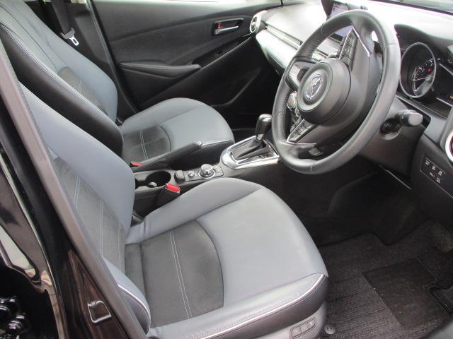 ���ʂ��傫�����S�n�̗ǂ��t�����g�V�[�g�I