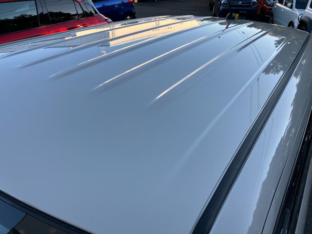 アルトラパン X 3型(13枚目)