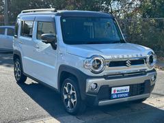 �ϥ��顼 �ʥ������륿���ܡ������̥�˥����ե��꡼�ʥӡ��̣ţĥ饤�ȡ��Хå�����顡�����ȥ饤�� 0600061A20251211S003 4