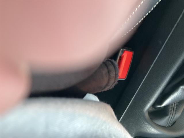 マスタング ５０イヤーズ　エディション　正規ディーラー車　２３００ＥｃｏＢｏｏｓｔ　マイフォードタッチ　バックカメラ　スマートキー　プッシュスタート　クルーズコントロール（24枚目）