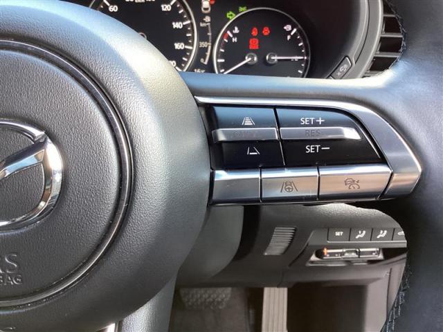 ＣＸ－３０ ＸＤ　Ｌパッケージ　ＸＤ　Ｌ－Ｐａｃｋａｇｅ（9枚目）