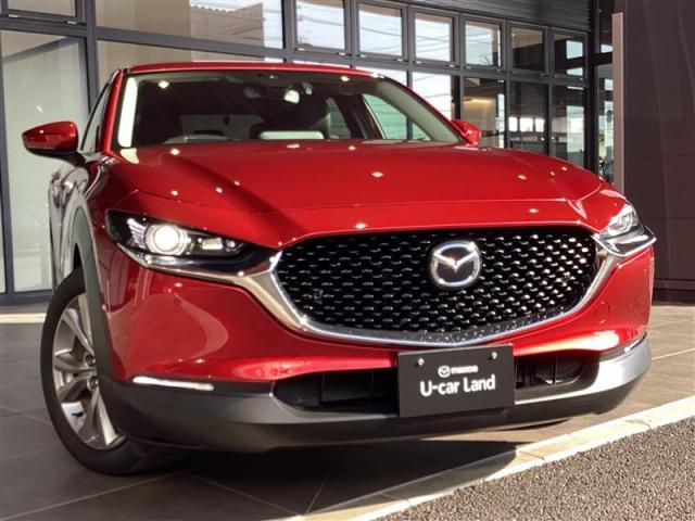 ＣＸ－３０ ＸＤ　Ｌパッケージ　ＸＤ　Ｌ－Ｐａｃｋａｇｅ（18枚目）