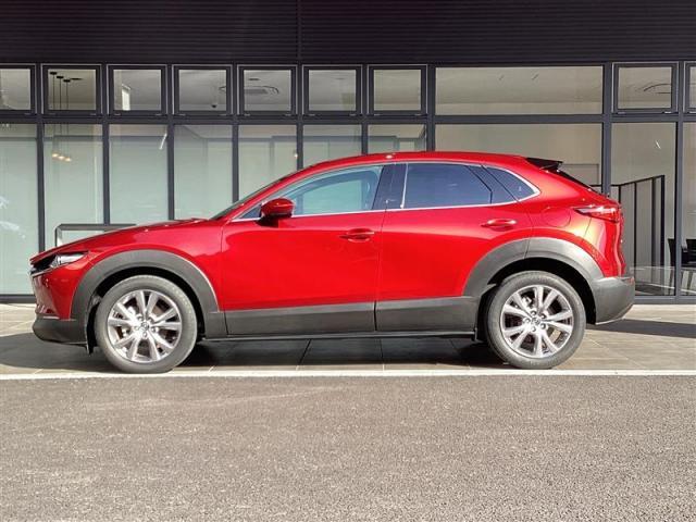 ＣＸ－３０ ＸＤ　Ｌパッケージ　ＸＤ　Ｌ－Ｐａｃｋａｇｅ（19枚目）