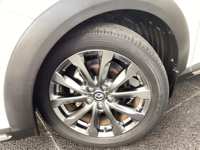 CX-3 20S エクスクルーシブモッズ 20S エクスクルーシブ モッズ 6速オートマ 360°ビューモニター BOSEサウンドシステム スマートインETC レーダーク(20枚目)