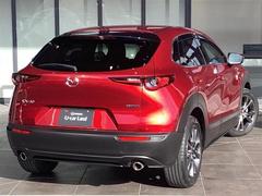 �ãءݣ��� �����ӡ���������ǯ���̵�ǰ�֡������ӡ���������ǯ���̵�ǰ�֡��ޥĥ����ͥ��ȣӣĥʥ� 0600084A20251206U001 2