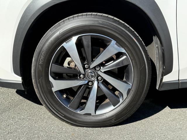 ＮＸ ＮＸ３００　Ｉパッケージ　後期型／サンルーフ／ルーフレール／ブラインドスポットモニター／赤レザー／パワーバックドア／三眼ＬＥＤ／フルセグＴＶ／シートヒーター／プリクラッシュセーフティ／１８ＡＷ／ＯＢＤ故障診断済／グー鑑定済（64枚目）