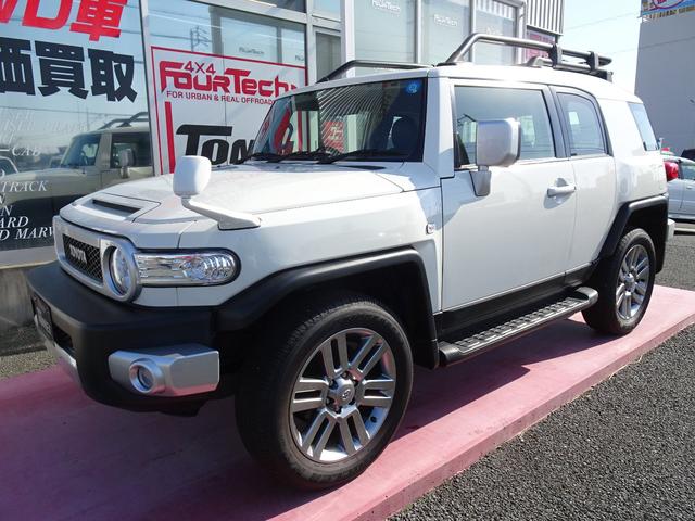 カラーパッケージ 純正フォグ 純正20AW 1オーナー車(6枚目)