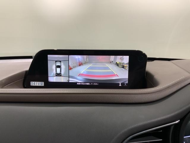 ＣＸ－３０ ２０ＳＬパッケージ　革シート最長５年保証ワンオ－ナ－ＴＶ　スマートブレーキ　１オーナー　本革シート　地デジ　クルーズコントロール　点検記録簿　アドバンストキー　ＤＶＤ　ナビＴＶ　Ｄレコ　横滑り防止装置　ＬＥＤヘッドライト（6枚目）