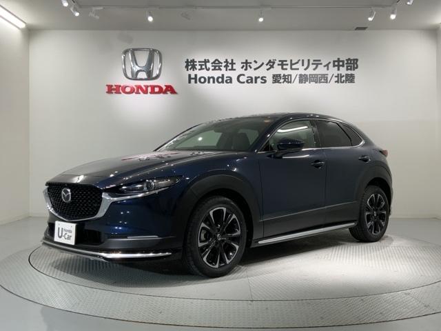 ＣＸ－３０ ２０ＳＬパッケージ　革シート最長５年保証ワンオ－ナ－ＴＶ　スマートブレーキ　１オーナー　本革シート　地デジ　クルーズコントロール　点検記録簿　アドバンストキー　ＤＶＤ　ナビＴＶ　Ｄレコ　横滑り防止装置　ＬＥＤヘッドライト（46枚目）