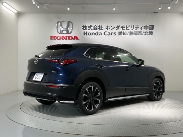 ＣＸ－３０ ２０ＳＬパッケージ　革シート最長５年保証ワンオ－ナ－ＴＶ　スマートブレーキ　１オーナー　本革シート　地デジ　クルーズコントロール　点検記録簿　アドバンストキー　ＤＶＤ　ナビＴＶ　Ｄレコ　横滑り防止装置　ＬＥＤヘッドライト（50枚目）