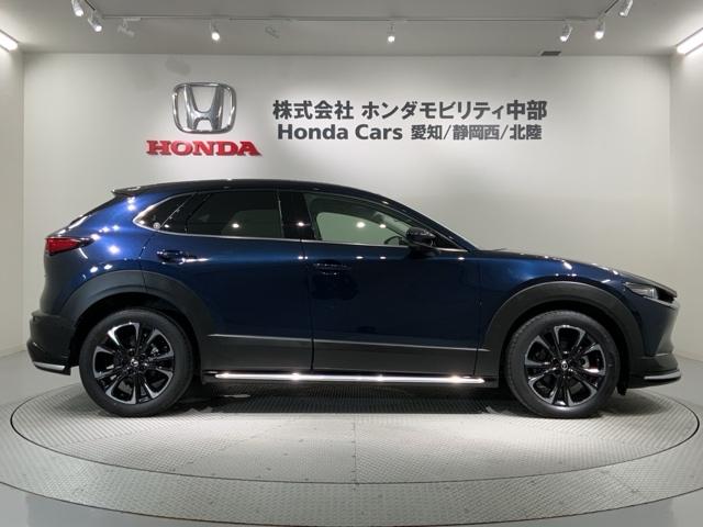 ＣＸ－３０ ２０ＳＬパッケージ　革シート最長５年保証ワンオ－ナ－ＴＶ　スマートブレーキ　１オーナー　本革シート　地デジ　クルーズコントロール　点検記録簿　アドバンストキー　ＤＶＤ　ナビＴＶ　Ｄレコ　横滑り防止装置　ＬＥＤヘッドライト（51枚目）