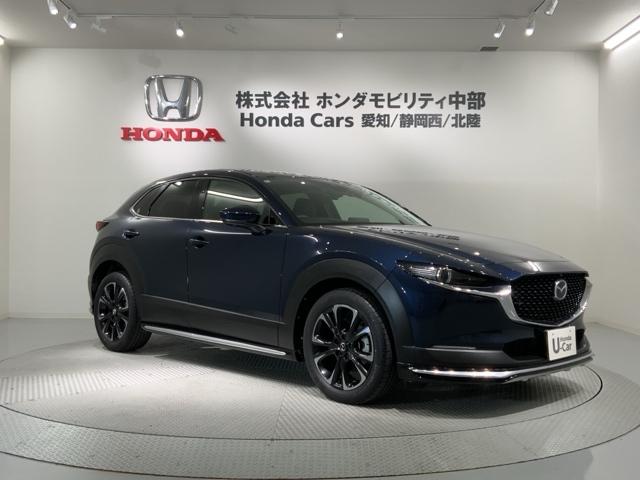 ＣＸ－３０ ２０ＳＬパッケージ　革シート最長５年保証ワンオ－ナ－ＴＶ　スマートブレーキ　１オーナー　本革シート　地デジ　クルーズコントロール　点検記録簿　アドバンストキー　ＤＶＤ　ナビＴＶ　Ｄレコ　横滑り防止装置　ＬＥＤヘッドライト（52枚目）