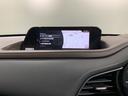 ２０ＳＬパッケージ　革シート最長５年保証ワンオ－ナ－ＴＶ　スマートブレーキ　１オーナー　本革シート　地デジ　クルーズコントロール　点検記録簿　アドバンストキー　ＤＶＤ　ナビＴＶ　Ｄレコ　横滑り防止装置　ＬＥＤヘッドライト（39枚目）