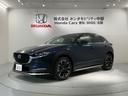 ２０ＳＬパッケージ　革シート最長５年保証ワンオ－ナ－ＴＶ　スマートブレーキ　１オーナー　本革シート　地デジ　クルーズコントロール　点検記録簿　アドバンストキー　ＤＶＤ　ナビＴＶ　Ｄレコ　横滑り防止装置　ＬＥＤヘッドライト（46枚目）
