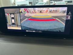 �ͣ��ڣģ����ե����ȥХå� �����ӥץ������ƥ��֡��ġ���󥰥��쥯����󡡣����ӡ��ץ������ƥ��֡��ġ���󥰥��쥯����� 0600162A20251229U002 4