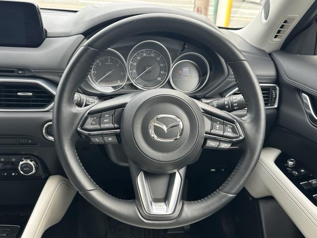 ＣＸ－５ ＸＤ　Ｌパッケージ　４ＷＤ　ＣＤ／ＤＶＤプレーヤー＋地上デジタルＴＶチューナー　Ｂｏｓｅサウンドシステム＋１０スピーカ－　スマートキー　ＬＥＤヘッドライト　バックカメラ　フルオートエアコン　シートヒーター　ＥＴＣ（10枚目）