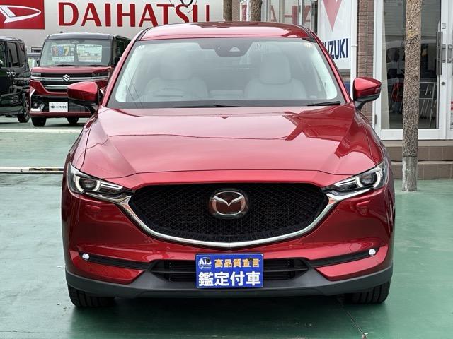 ＣＸ－５ ＸＤ　Ｌパッケージ　４ＷＤ　ＣＤ／ＤＶＤプレーヤー＋地上デジタルＴＶチューナー　Ｂｏｓｅサウンドシステム＋１０スピーカ－　スマートキー　ＬＥＤヘッドライト　バックカメラ　フルオートエアコン　シートヒーター　ＥＴＣ（36枚目）