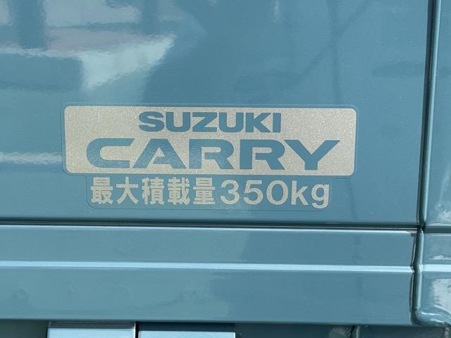 スーパーキャリイ Ｘリミテッド　４ＷＤ　４ＡＴ　特別仕様車　専用フロントガーニッシュ　専用サイドデカール　ＬＥＤヘッドランプ＆フォグランプベゼル（ブラック塗装）専用スチールホイール（ブラック塗装）　キーレス　届出済未使用車（10枚目）