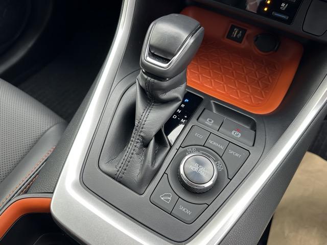 RAV4 アドベンチャー 4WD セーフティセンス LEDヘッドランプ ディスプレイオーディオ バックモニター ETC メモリー機能付パワーシート シートヒーター&ベンチレーション ステアリングヒーター 本革巻ステアリング(28枚目)