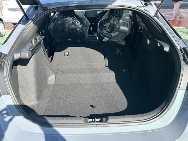 シビック タイプＲ　レーシングブラックパッケージ　走行距離５１ｋｍ　６ＭＴ　ＴＹＰＥ　Ｒ専用１０．２インチデジタルメーター・シート・ステアリング・リアスポイラー　レブマッチシステム　トリプルエキゾースト　Ｂｒｅｍｂｏ製ブレーキシステム　登録済未使用車（13枚目）